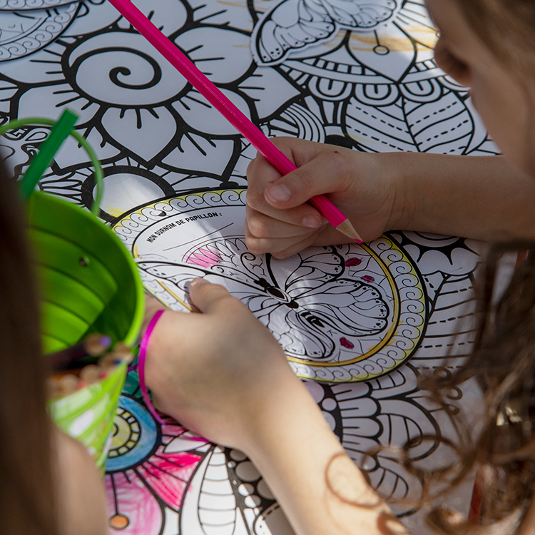 Papillage & Papillons